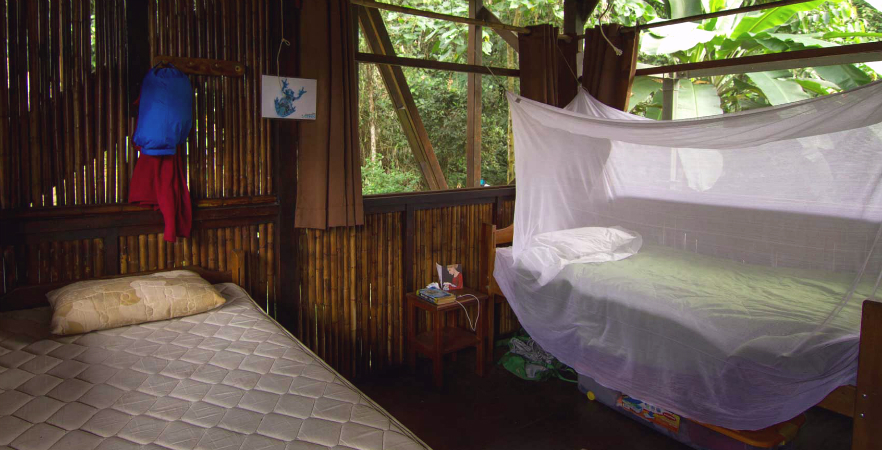 Peru Amazon Bedroom