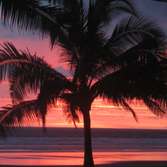 Costa Rica sunset