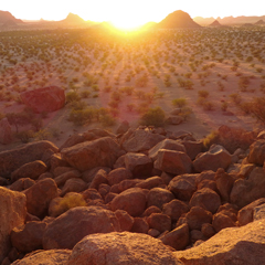 Namibia desert