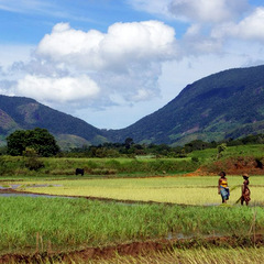 Madagascar countryside