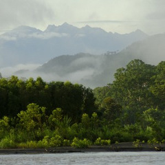 Peru amazon jungle