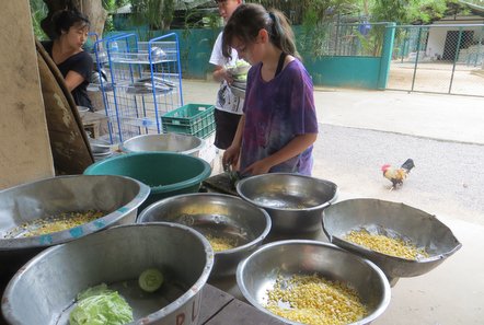 Food prep at the Wildlife Rescue project