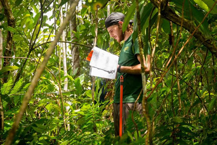 What can I read before joining the Amazon Conservation project in Peru?