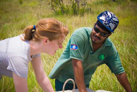 Volunteers work with local rangers