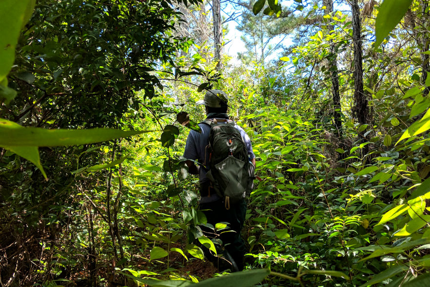 Conservation volunteers in Belize