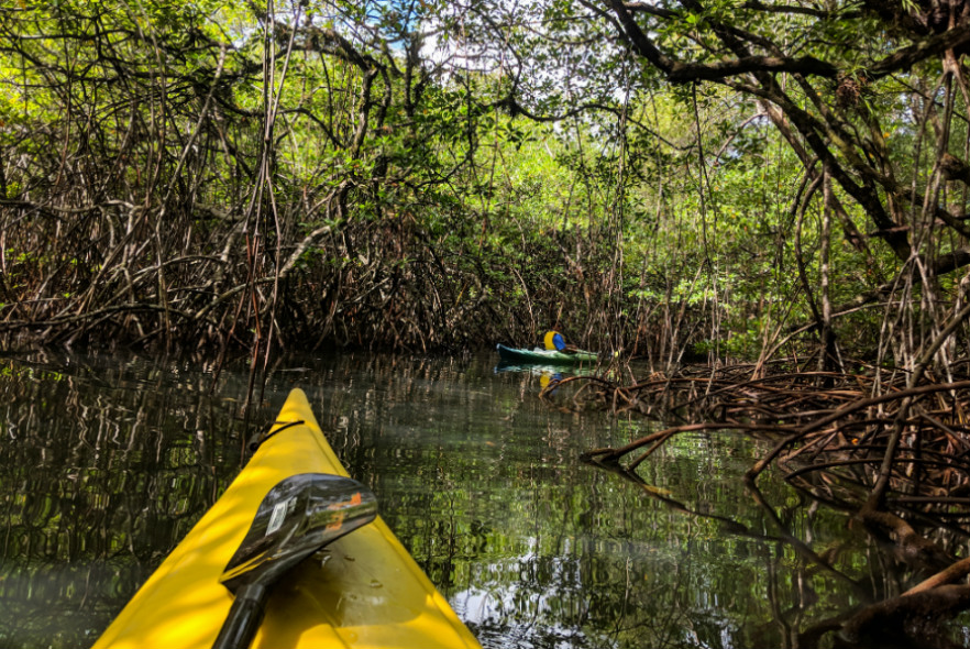 Helping to protect the Caribbean – My visit to Belize 