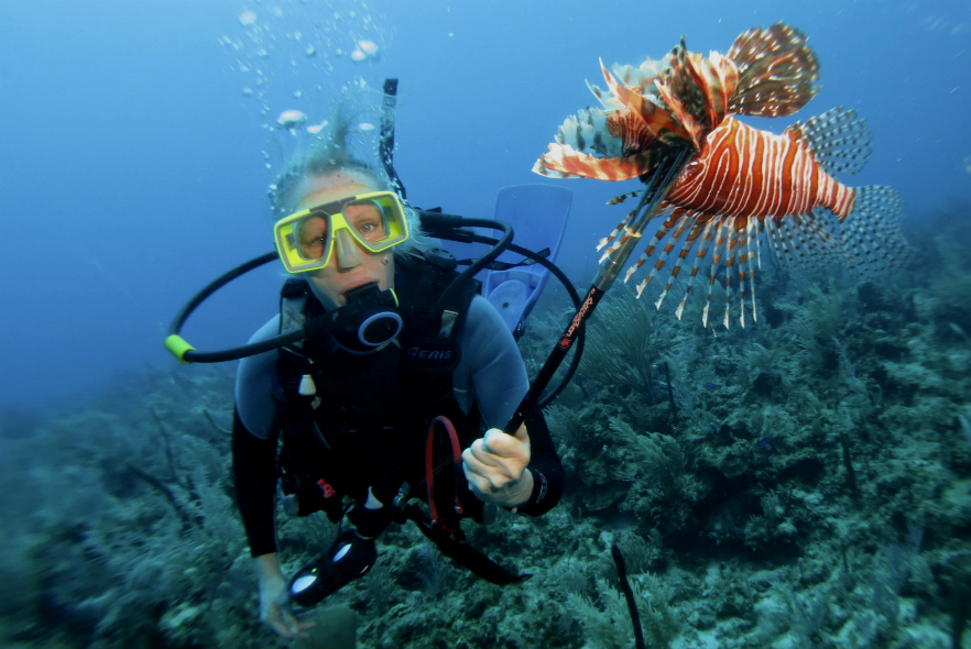 lionfish spearing 