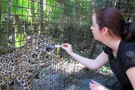 My time at the Caribbean Wildlife project in Belize