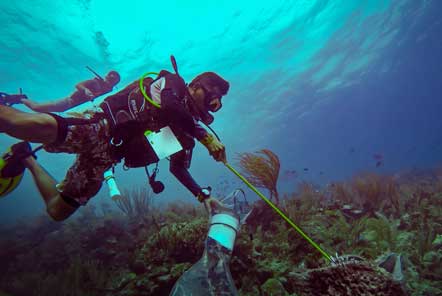 Belize lionfish 