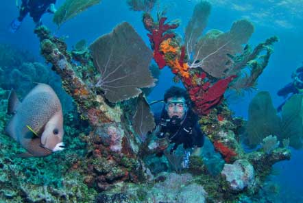 Diving in Belize