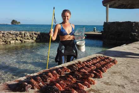 Diving in Belize