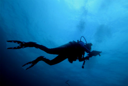 Volunteer diving 