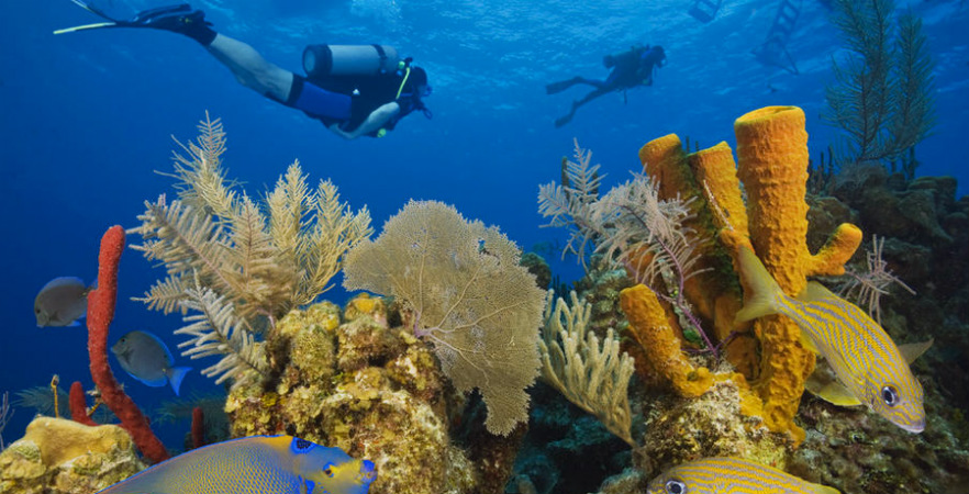 School trip to Belize diving