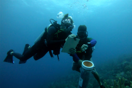 Reef Conservation in Belize