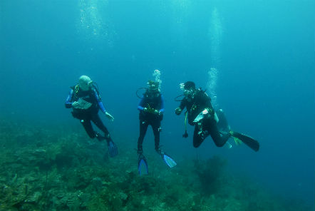 Reef Conservation in Belize