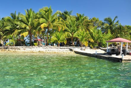 My return to the Reef Conservation project in Belize