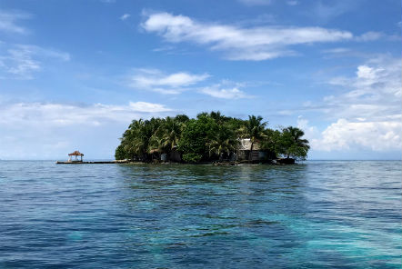 Turtles, lionfish & island life in Belize: Volunteer diary