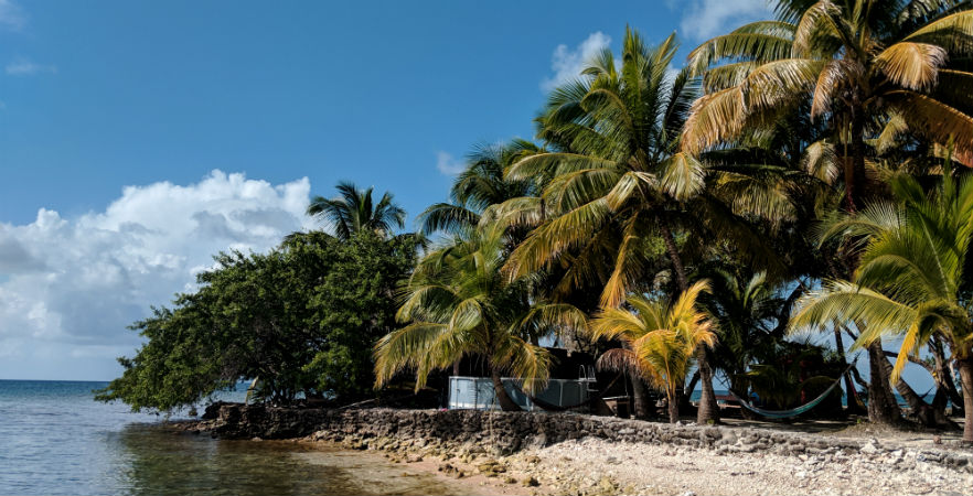 Pod Reef Conservation island