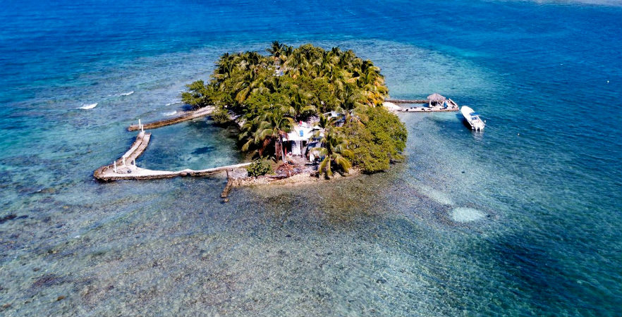 Reef Conservation island 