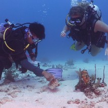 Lionfish, lobsters & learning: Belize Conservation Achievements
