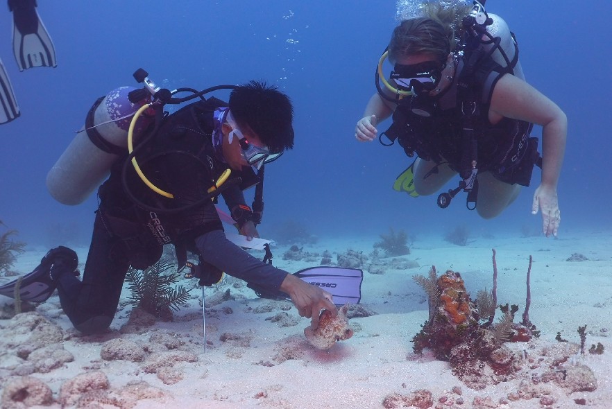 Lionfish, lobsters & learning: Belize Conservation Achievements