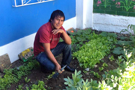 Graduate helping on the vegetable garden