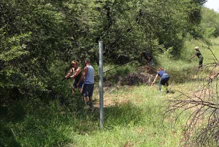 Volunteers working