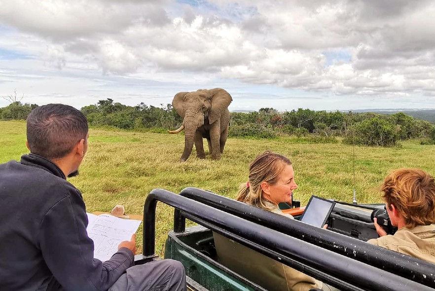 Big 5 Conservation Volunteer Highlights