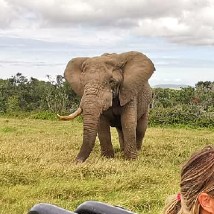 Big 5 Conservation Volunteer Highlights