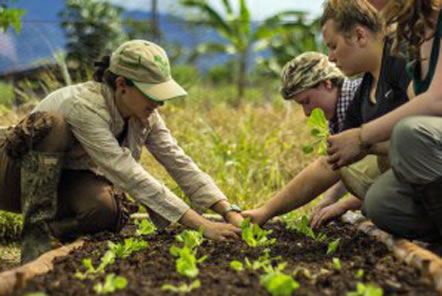 Pod Charity Grant: Bio-gardens in the Amazon