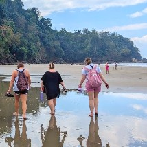 Day trips from the Turtle and Wildlife Conservation project in Costa Rica