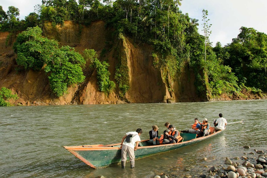 Monkey business – exploring the Amazon  