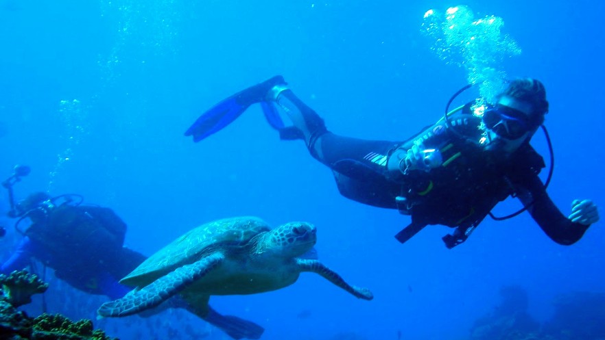 diving in South Africa