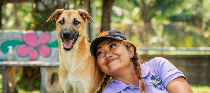 Dog rescue in Thailand