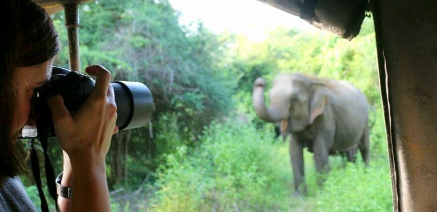 elephant and volunteer in Sri Lanka