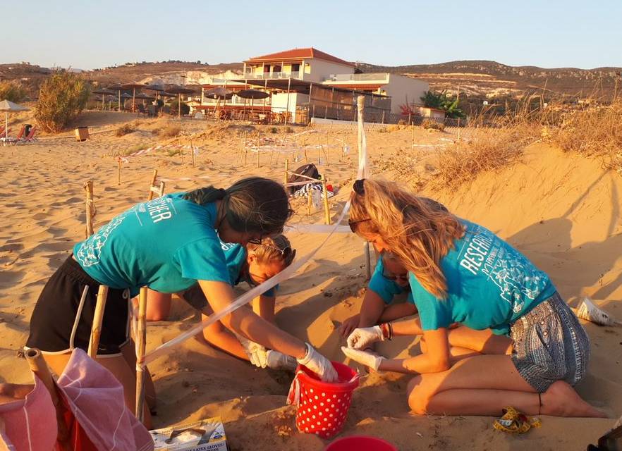 Volunteer on beach