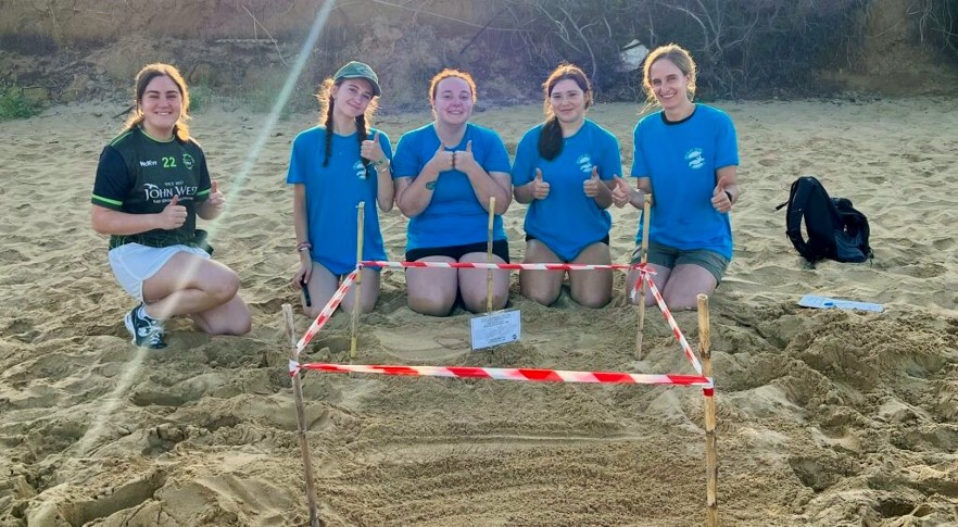 volunteers on beach with turtle nest