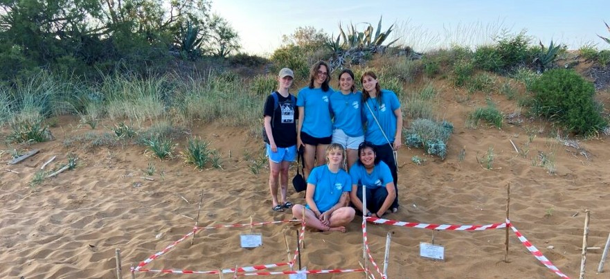 volunteers on beach