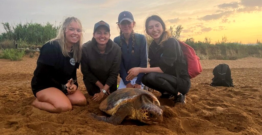 Volunteers on beach with turtle