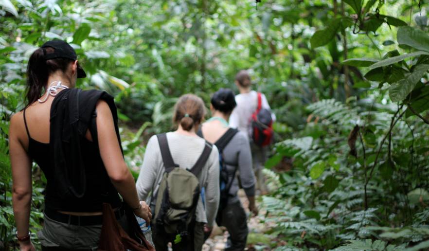Volunteers in the Amazon rainforest