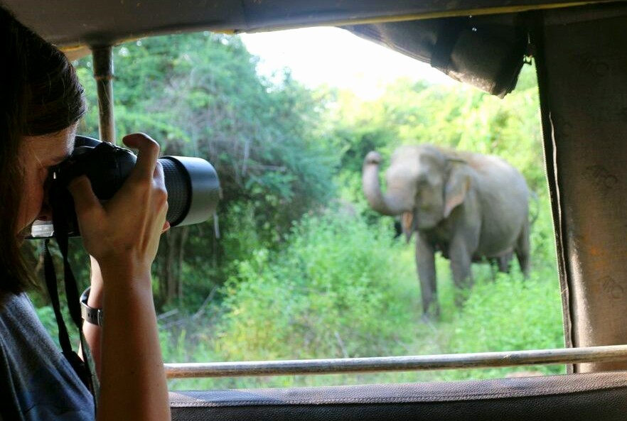 Volunteer with elephant