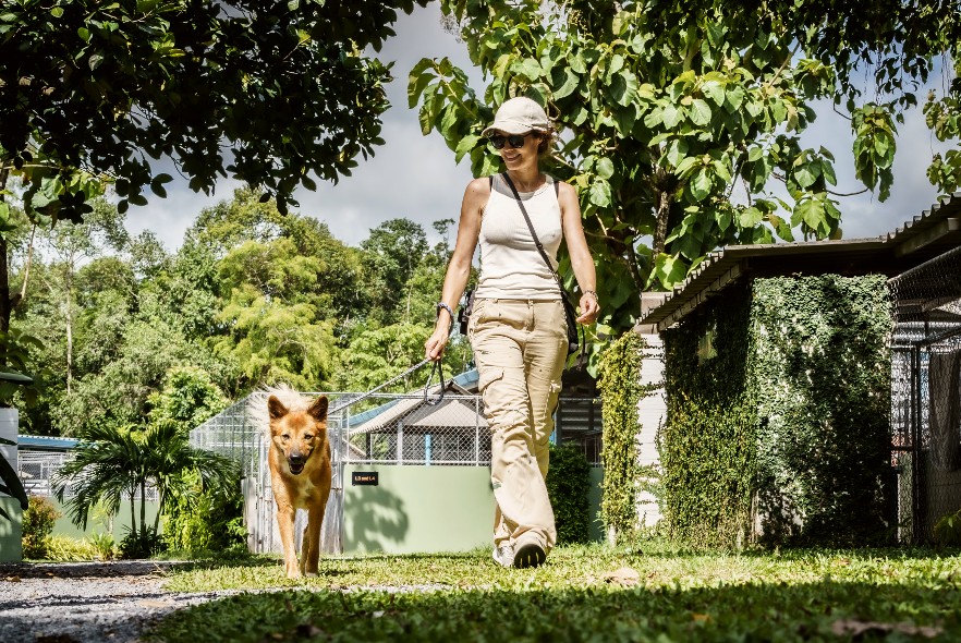 Mother and son volunteer to help animals on holiday