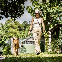 Mother and son volunteer to help animals on holiday