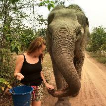 How can I help elephants? 