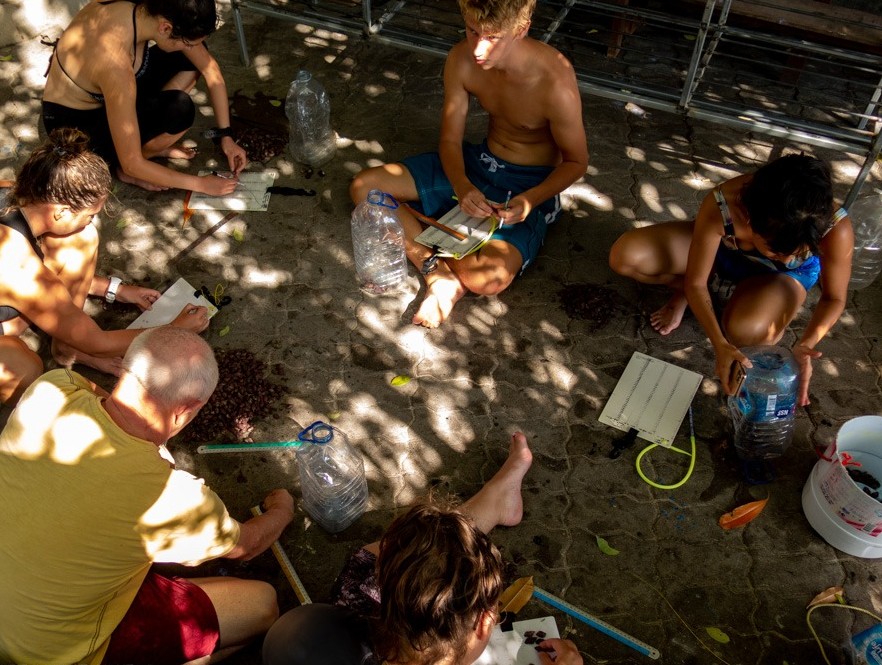 volunteers in Thailand