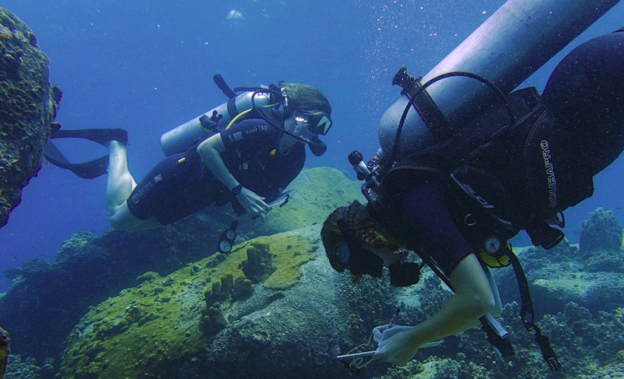 pod volunteer diving in Thailand