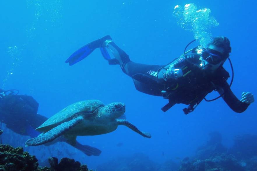 Diving with turtle in South Africa