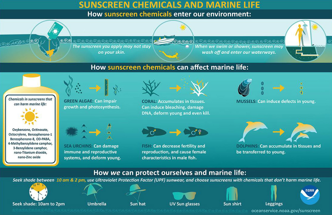 Sunscreen infographic