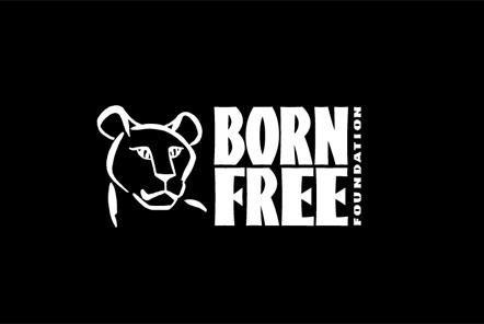 Born Free Foundation’s Travellers Animal Alert Initiative