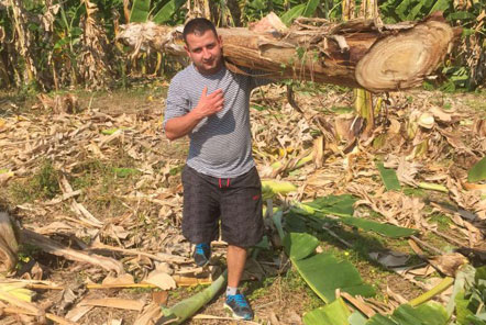 Diego working hard on a harvest